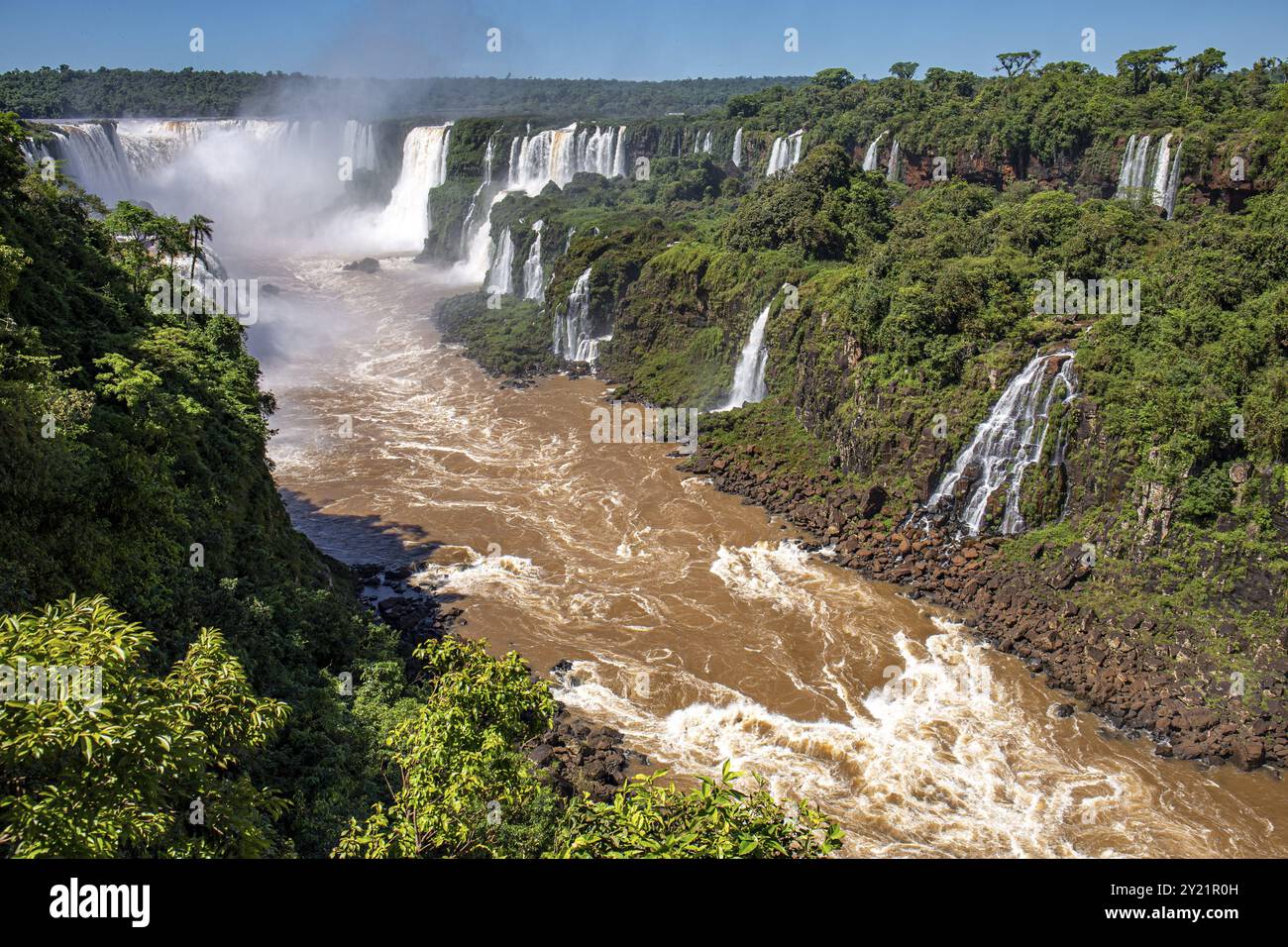 Blick auf die Schlucht der Iguazu Falls und Teufelskehle mit braunem Fluss, weißen Wasserfällen und üppigem grünen Regenwald bei Sonnenschein Stockfoto