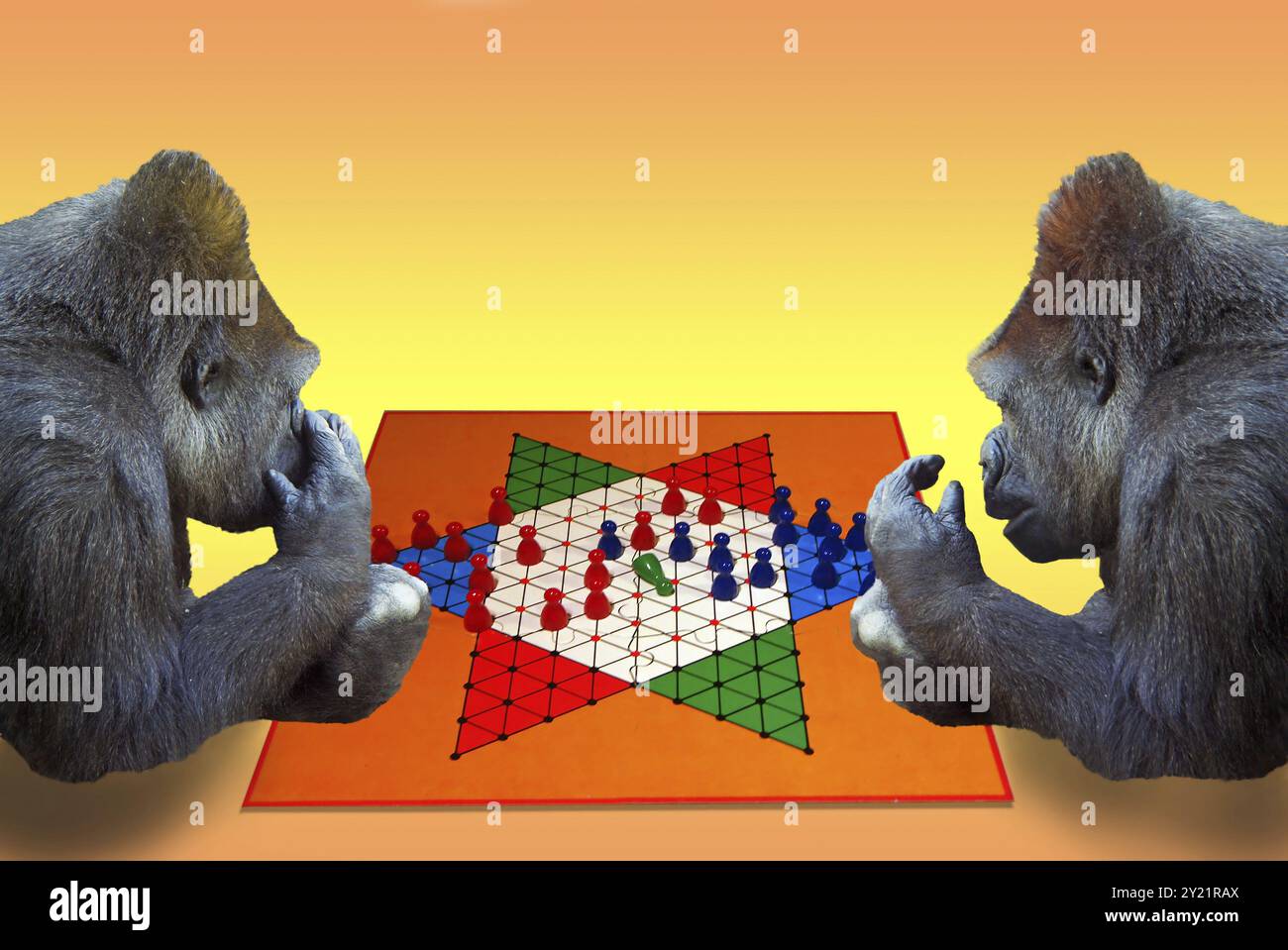 Zwei Affen spielen Halma Stockfoto