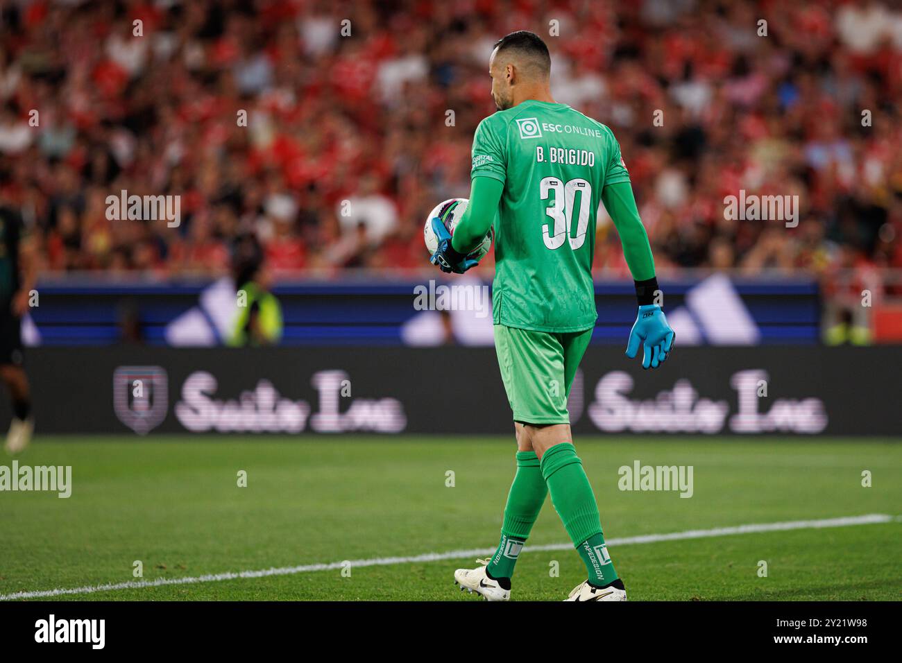 Bruno Brigido beim Spiel der Liga Portugal zwischen den Teams SL Benfica und CF Estrela Amadora im Estadio da Luz (Maciej Rogowski) Stockfoto