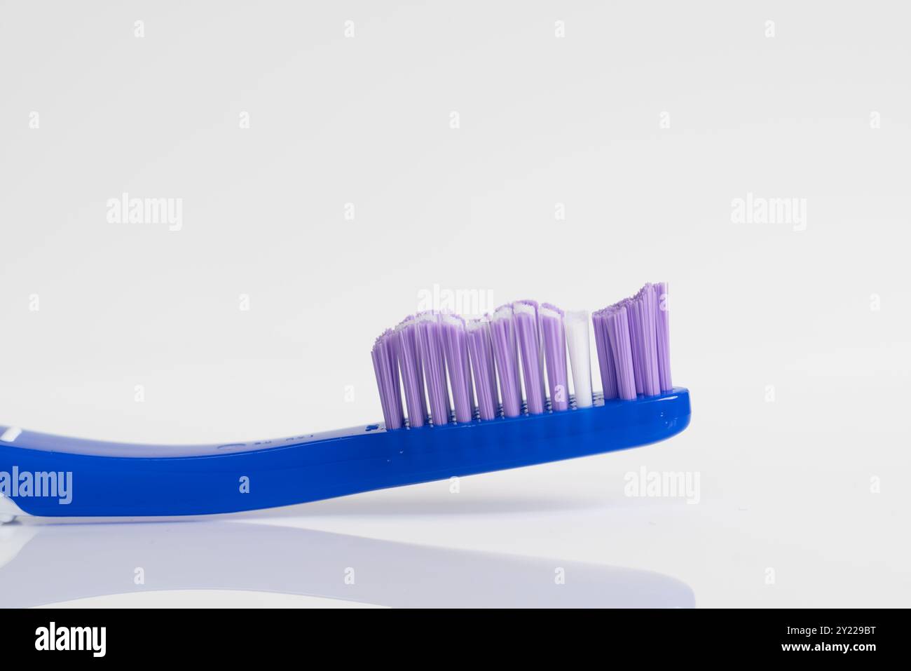 Eine detaillierte Nahaufnahme einer violetten Zahnbürste mit Borsten. Stockfoto