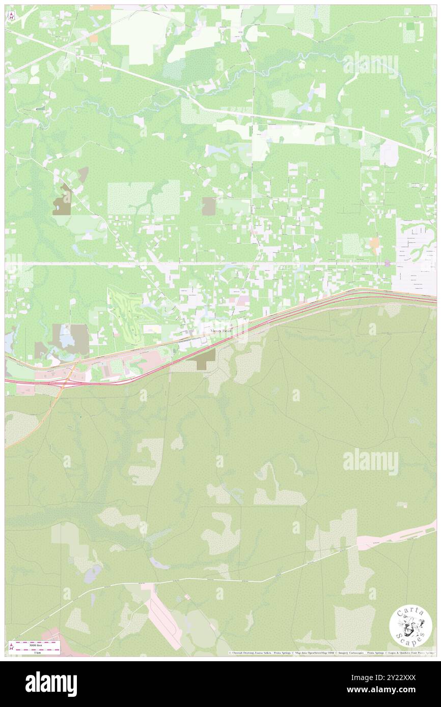 Mossy Head, Walton County, USA, USA, Florida, n 30 44' 35'', S 86 18' 53'', Karte, Cartascapes Map, veröffentlicht 2024. Erkunden Sie Cartascapes, eine Karte, die die vielfältigen Landschaften, Kulturen und Ökosysteme der Erde enthüllt. Reisen Sie durch Zeit und Raum und entdecken Sie die Verflechtungen der Vergangenheit, Gegenwart und Zukunft unseres Planeten. Stockfoto