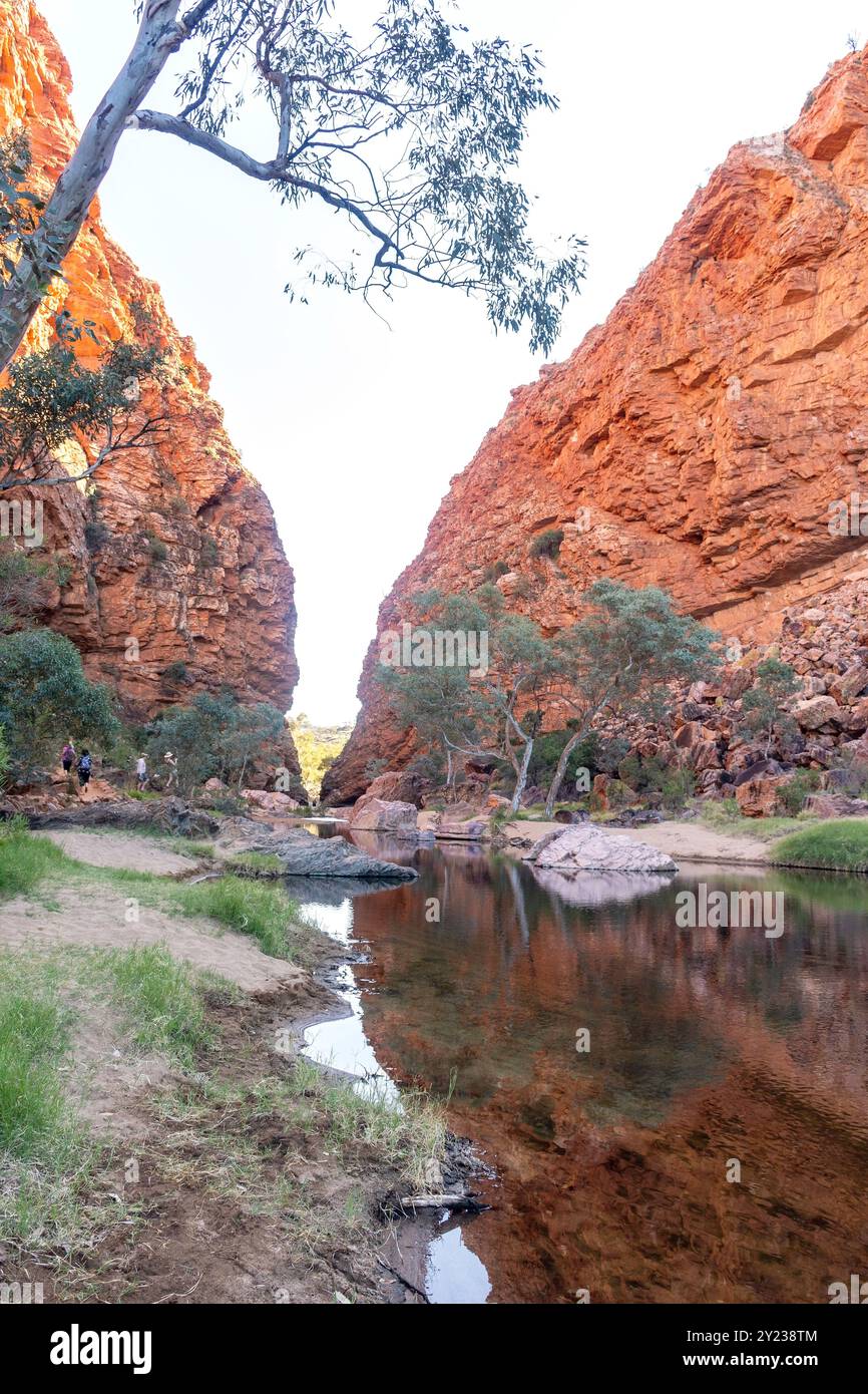 Simpsons Gap, Burt Plain, West MacDonnell Ranges, West MacDonnell National Park (Tjoritja), Northern Territory, Australien Stockfoto