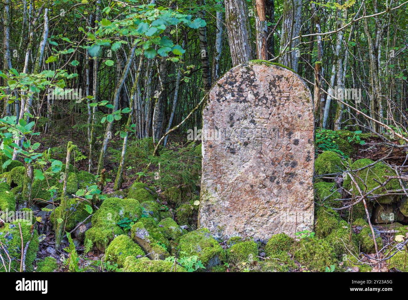 Grenzstein in einem Wald für Regierungsflächen Stockfoto
