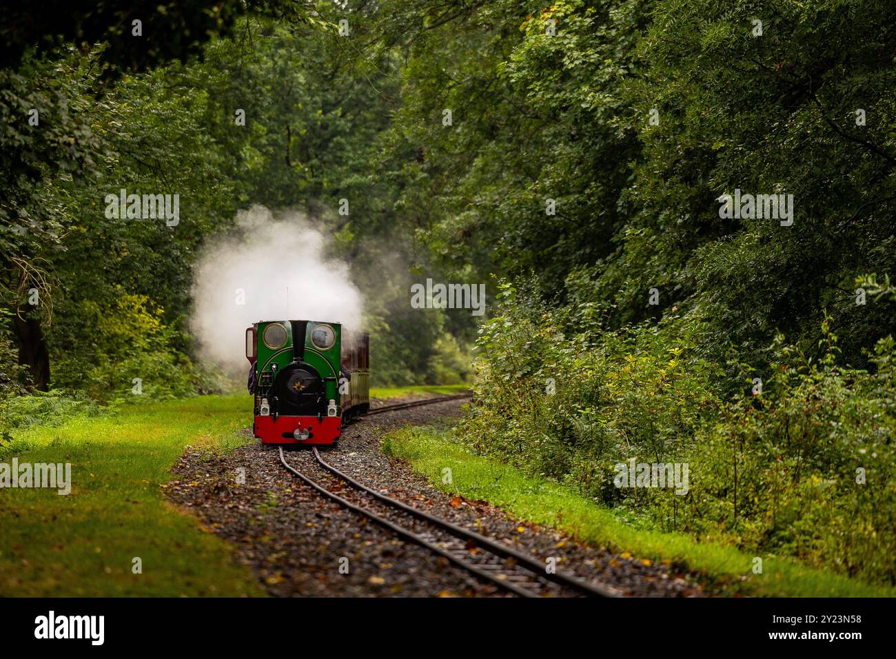 Denby Dale, Großbritannien. September 2024. Kirklees Light Railway Gala im Whistlestop Valley. Badger führt einen Zug, der sich dem Halt Cuckoos Nest nähert, Richtung Clayton West. Quelle: Neil Terry/Alamy Live News Stockfoto