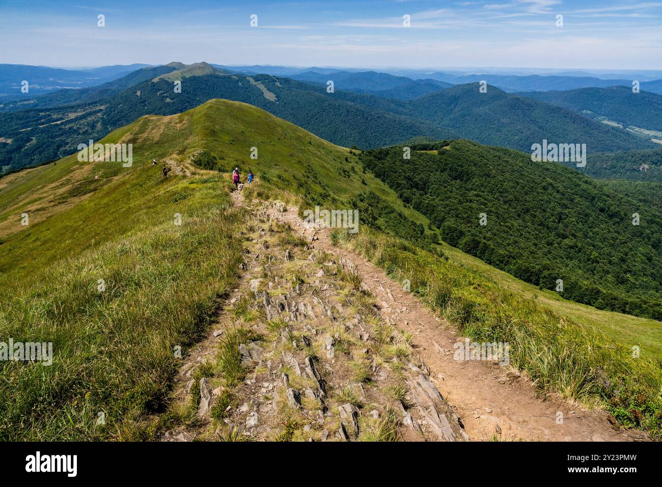 Wanderer auf dem Bergrücken von Carynska Polonina, Nationalpark Bieszczady, UNESCO-Reservat - Biosphärenreservat Ostkarpaten, Karpaten, Polen, Stockfoto