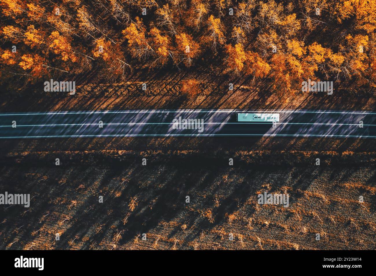 Luftaufnahme eines Shuttle-Bus-Fahrzeugs, das im Herbst durch bewaldete Landschaft fährt, Drohne pov direkt darüber Stockfoto