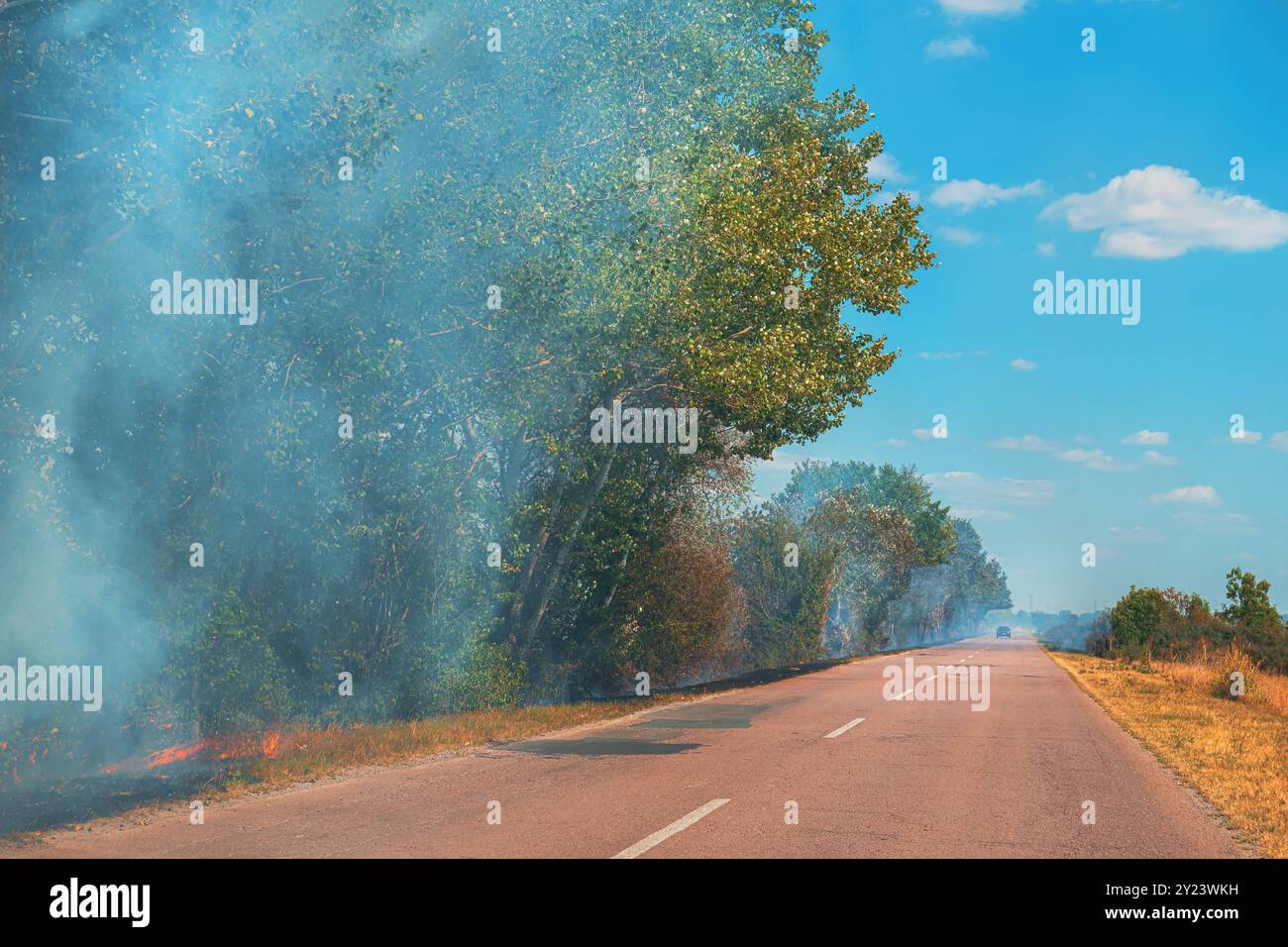 Sommerbrände in den Wäldern entlang der Landstraße, selektiver Fokus Stockfoto