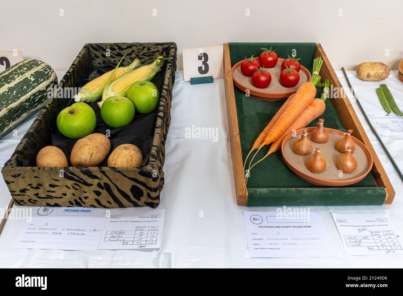 Dorfvorstellung im Old Basing Village Hall, Hampshire, England, Großbritannien, im September 2024. Obst und Gemüse, Einträge für Gartenprodukte Stockfoto