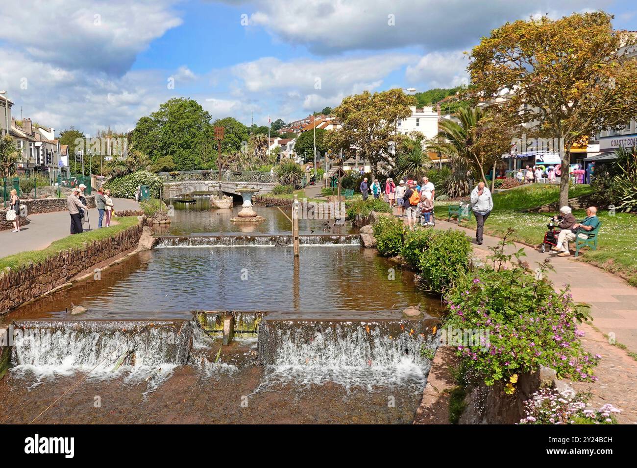 Im Sommer fließt der Dawlish Wasserstrom im beliebten Public Lawn Park über Wehre in der Stadt, die kurz vor dem Eintritt in das Schutzgebiet der Black Swans Devon England UK stehen Stockfoto