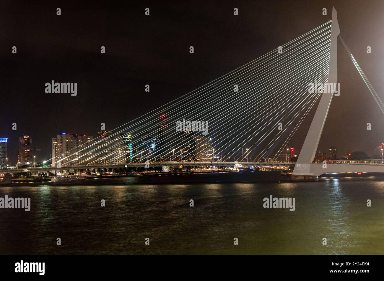 Die Erasmusbrug, oder schlank auf Englisch, vollendete 1996 die Nieuwe Maas, Rhein über Rotterdam Hafen Stockfoto