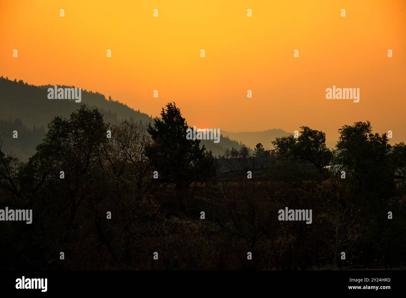 Orange rauchiger Sonnenuntergang mit Baumsilhouetten und trüben Bergen. Stockfoto
