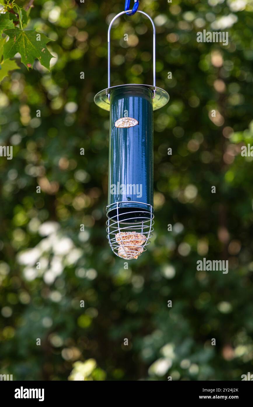 Ein Vogelfutter, das draußen in einer grünen Gartenumgebung hängt Stockfoto