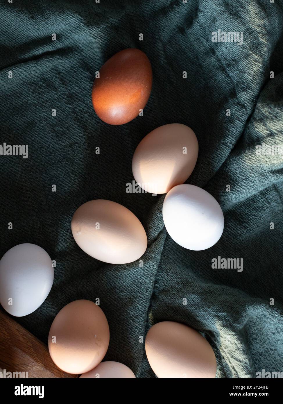 Braune und weiße Eier auf grünem Stoff in weichem natürlichem Licht Stockfoto