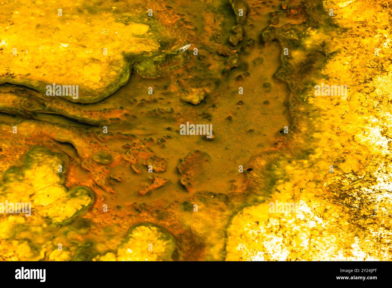 Nahaufnahme von geothermischen Mineraltexturen von Yellowstone mit gelben Farbtönen Stockfoto