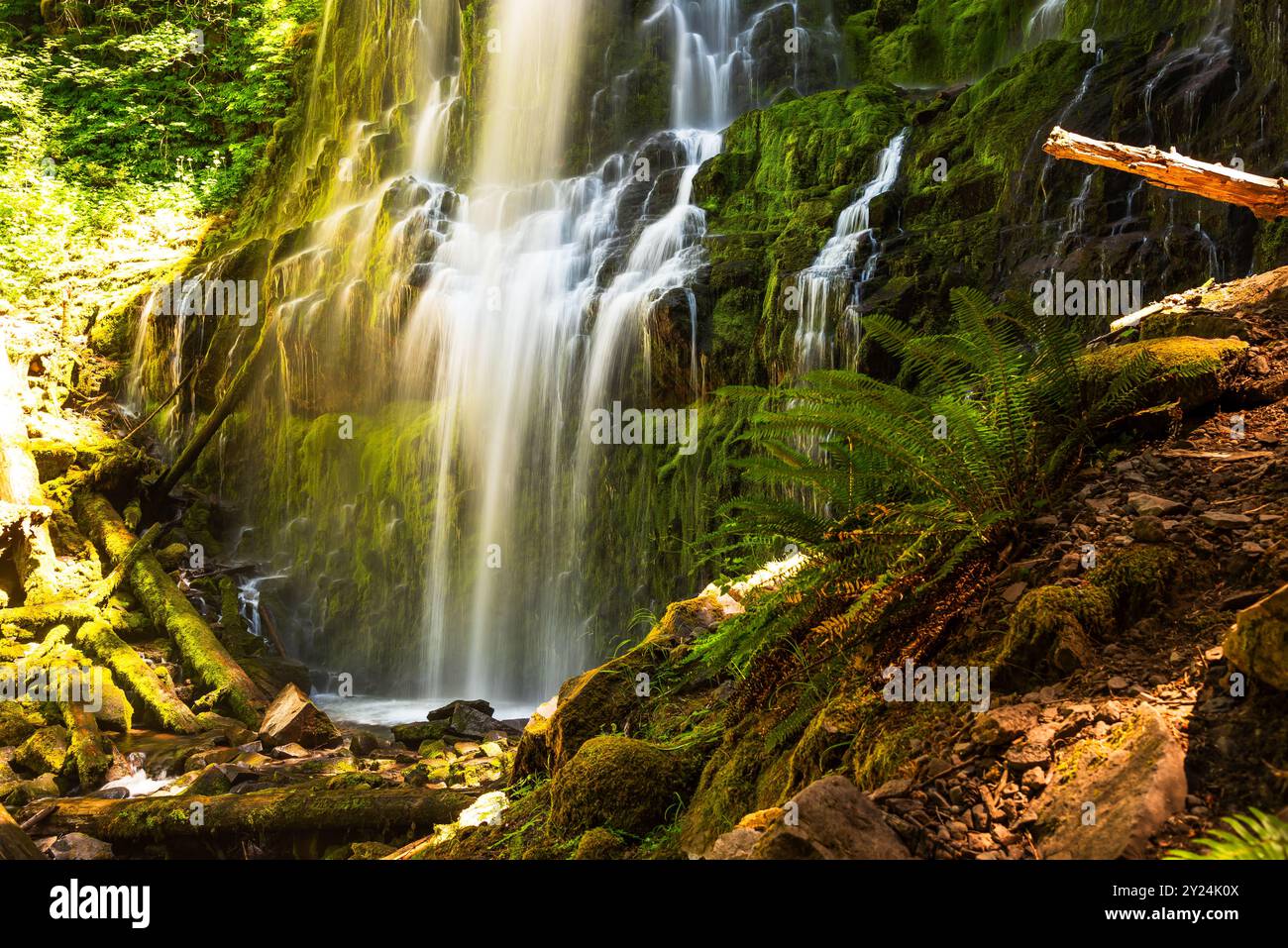 Wasserkaskaden über moosige Felsen und Baumstämme bei Proxy Falls, Eugene. Stockfoto