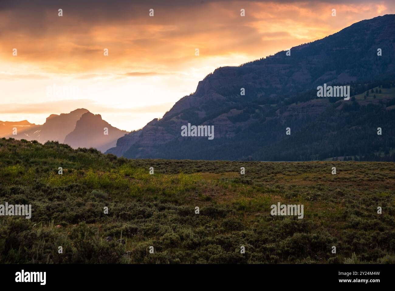 Der Sonnenaufgang im Lamar Valley wirft warmes Licht auf zerklüftete Berge. Stockfoto