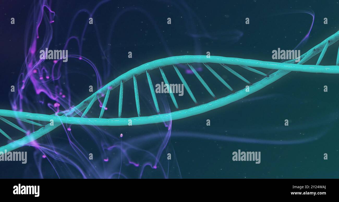 DNA-Strangbild über violettem und blauem Hintergrund Stockfoto