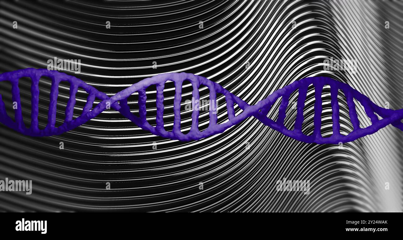 DNA-Strang über schwarzen und weißen Wellenlinien, wissenschaftliches Konzept Stockfoto