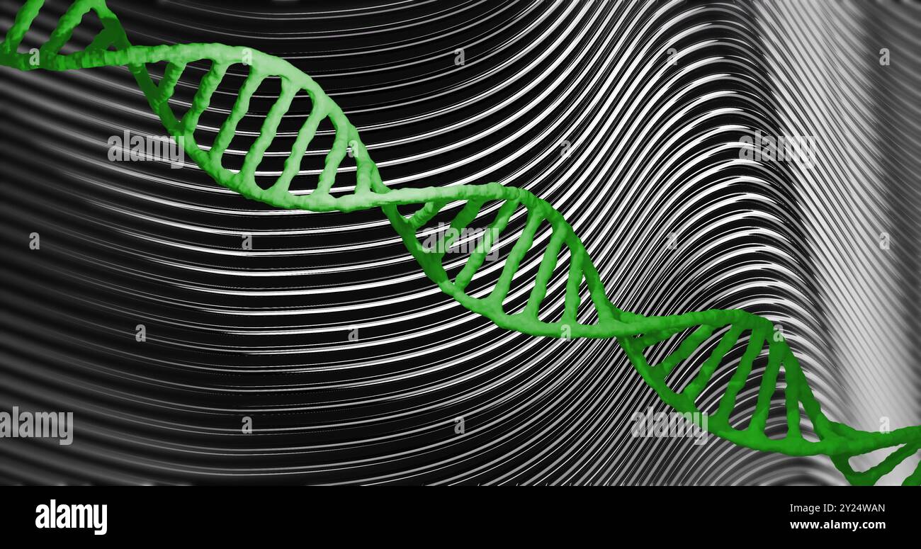DNA-Strang über schwarzen und weißen Wellenlinien, wissenschaftliches Konzept Stockfoto