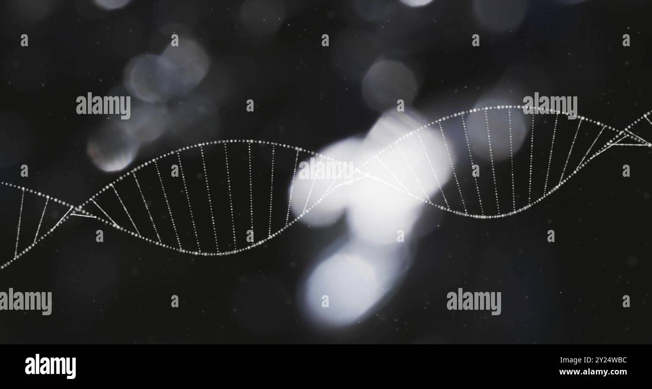 DNA-Strang- und Binärcodierung, wissenschaftliche Datenverarbeitung Stockfoto