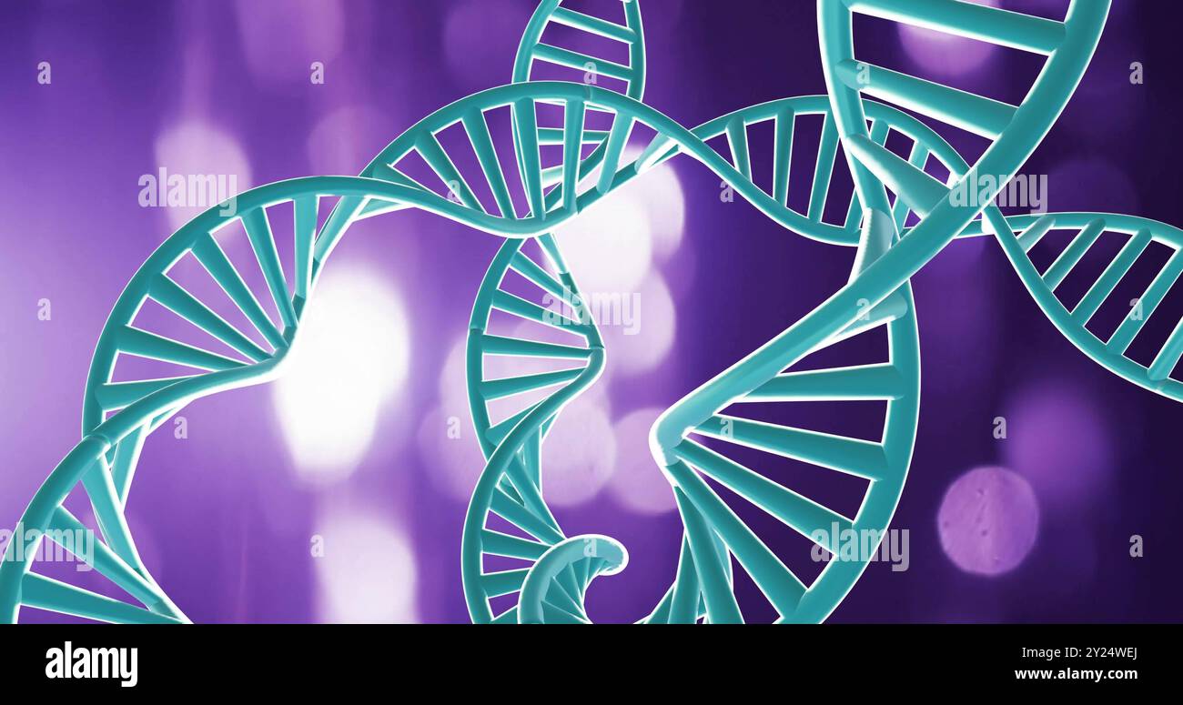 DNA-Stränge-Bild über violettem Hintergrund Stockfoto