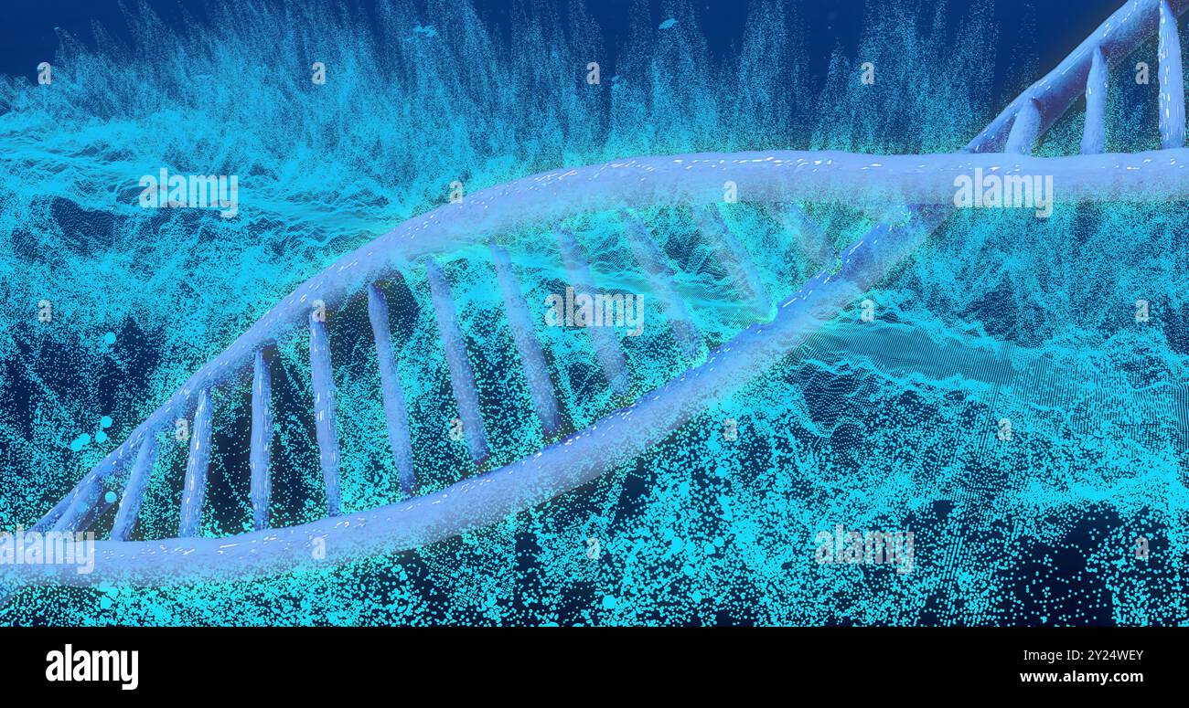 DNA-Strang- und Binärcodierung, wissenschaftliche Datenverarbeitung Stockfoto