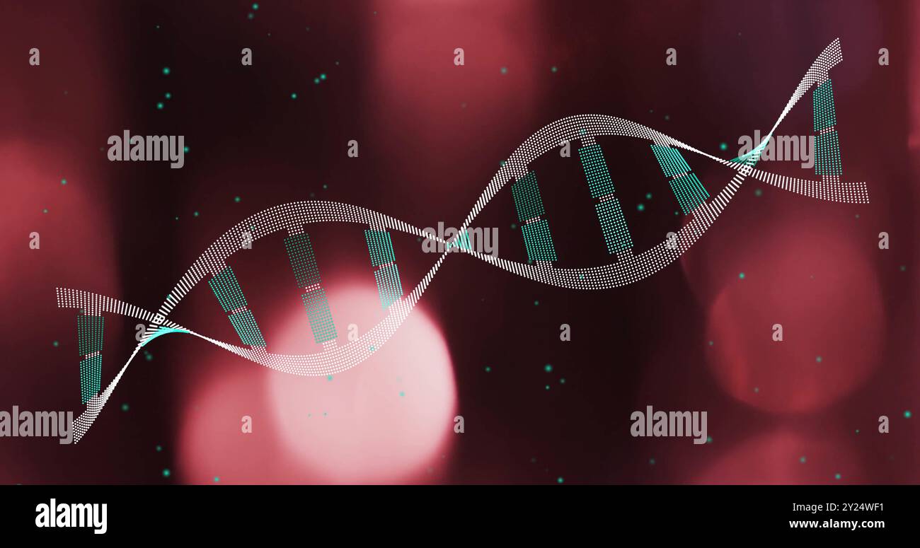 DNA-Strangbild über verschwommenem rotem und rosa Licht Stockfoto