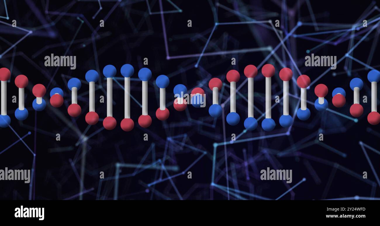 DNA-Strang- und Molekularstrukturbild über das Netzwerk von Verbindungen Stockfoto