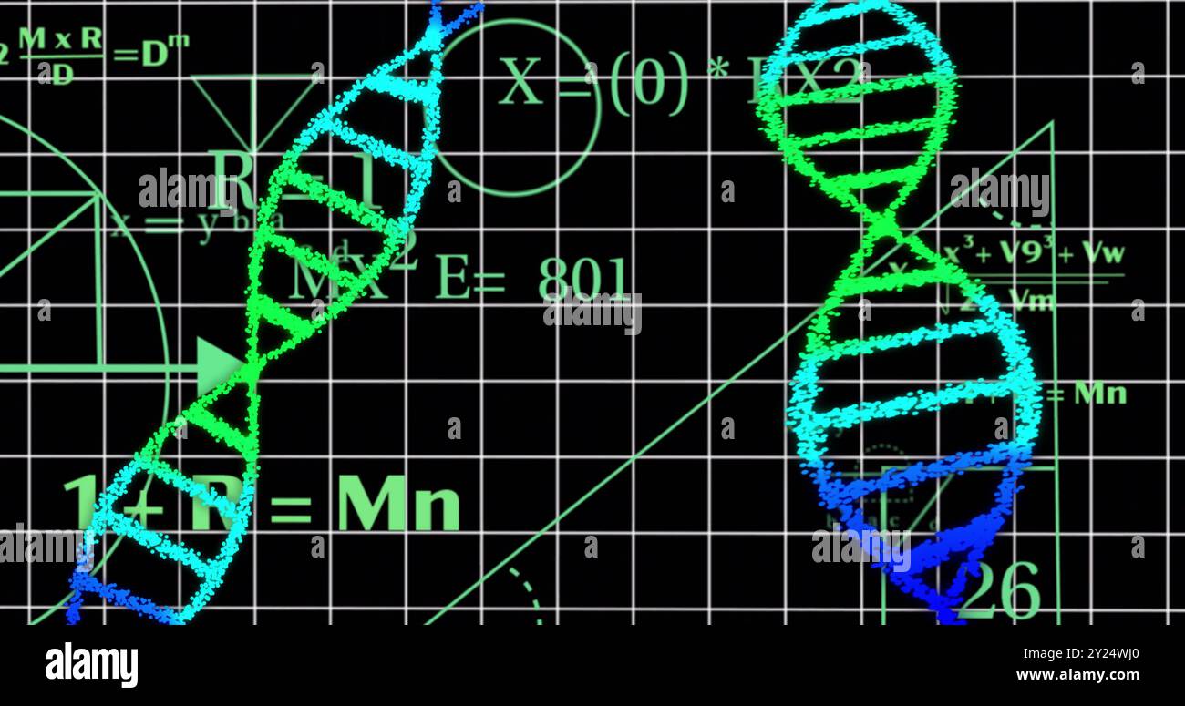 DNA-Stränge und mathematische Gleichungen über grünem Gitterhintergrund Stockfoto