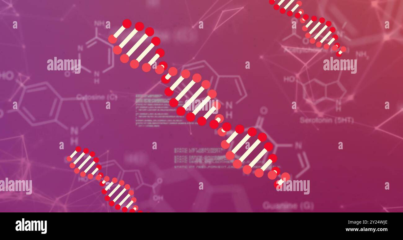 DNA-Strangbild über chemischen Formeln und molekularen Strukturen Stockfoto
