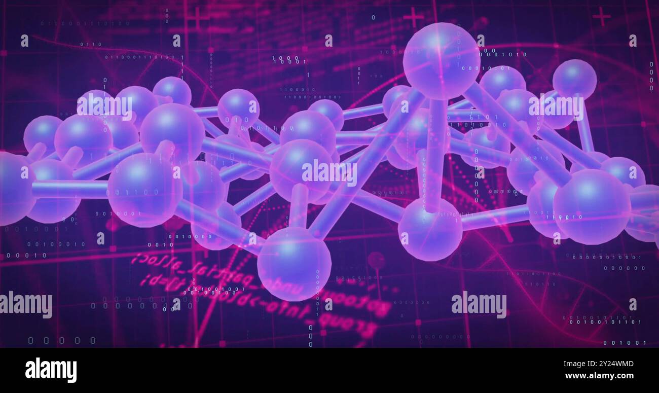 Bild des dna-Netzwerks von Verbindungen mit Datenverarbeitung und Molekülen auf schwarzem Hintergrund Stockfoto