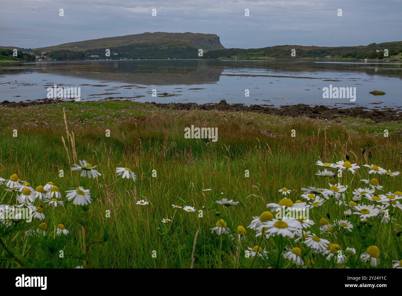 Der ca. 140km lange Fernwanderwege Skye Trail führt vom Norden der Halbinsel Skye bis in den Süden. Entlang steiler Klippen und rauer Natur führt der Weg durch die schottischen Highlands. Isle of Skye Schottland Skye Trail Schottland-21 *** der Skye Trail ist rund 140 km lang und führt vom Norden der Skye Peninsula nach Süden entlang steiler Klippen und zerklüfteter Natur durch den Scottish Highlands Isle of Skye Scotland Skye Trail Scotland 21 Stockfoto