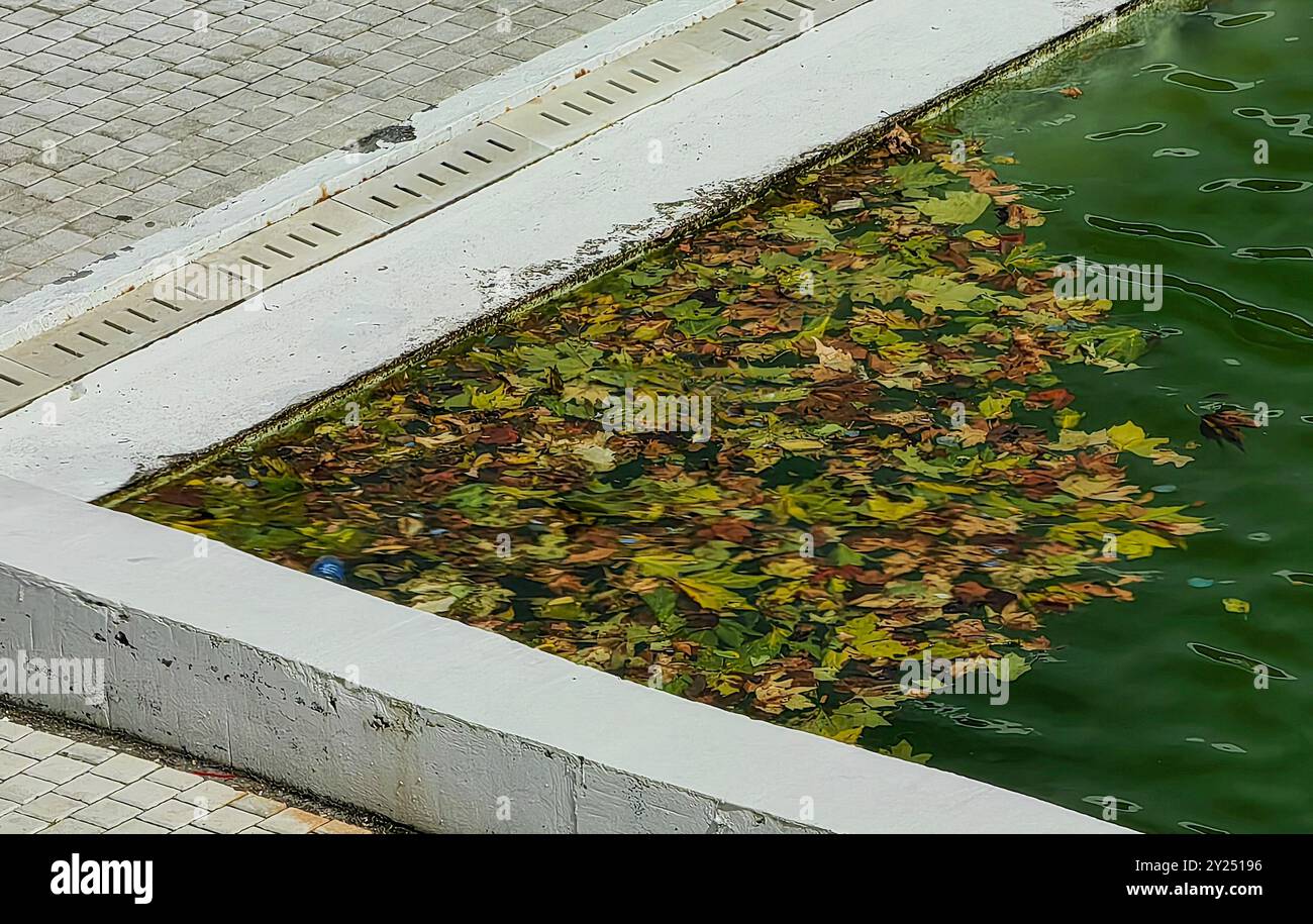 Verschmutztes Stadtbadwasser mit Herbstblättern und Plastiktüte: Ein ökologisches Anliegen Stockfoto