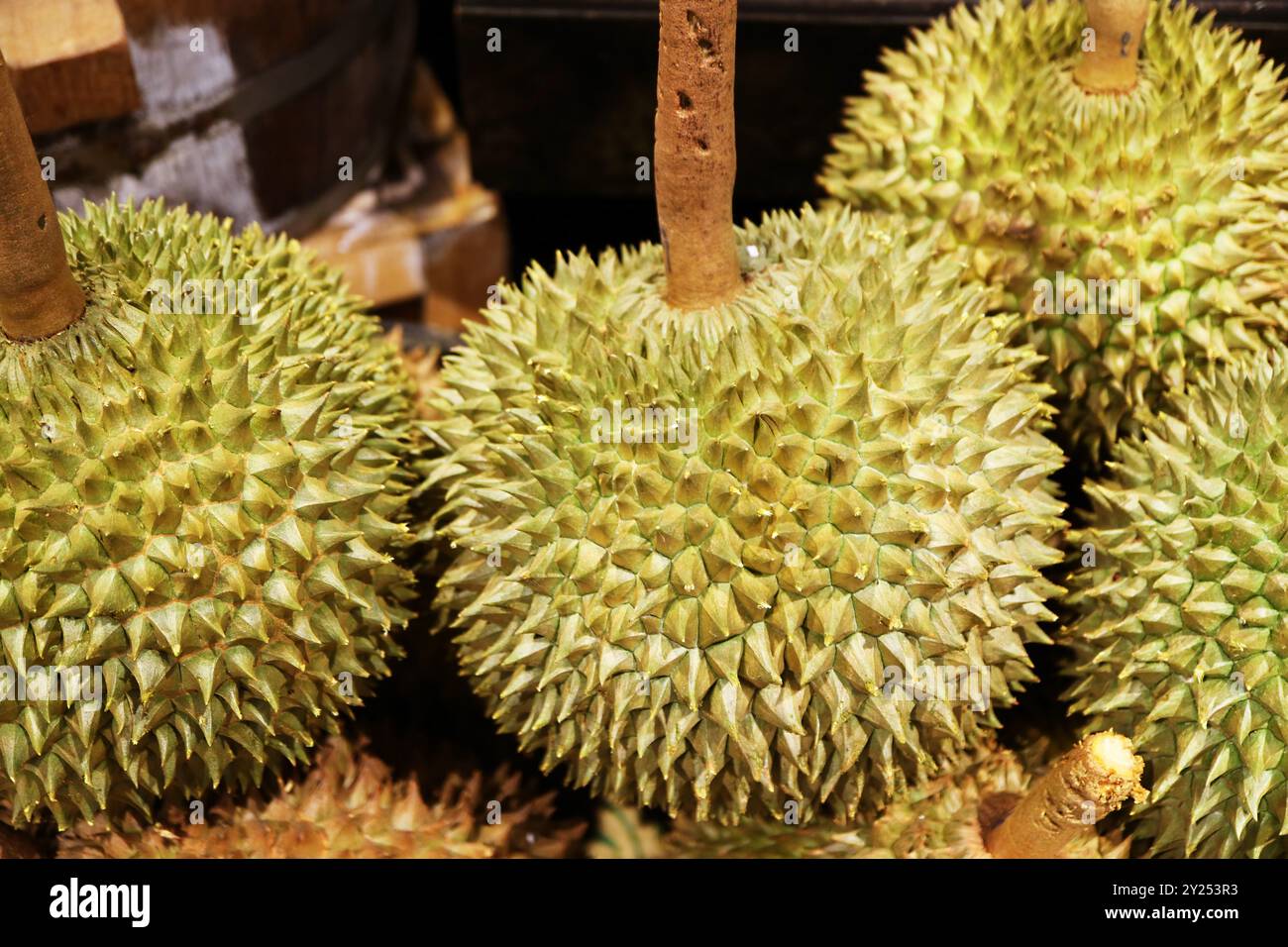 Haufen durianischer Früchte zum Verkauf auf dem lokalen Markt Stockfoto
