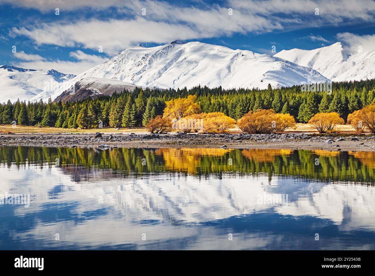 Landschaft mit schneebedeckten Bergen, Wald und blauem Himmel, der sich im stillen Wasser spiegelt. Lake Tekapo in Neuseeland Stockfoto