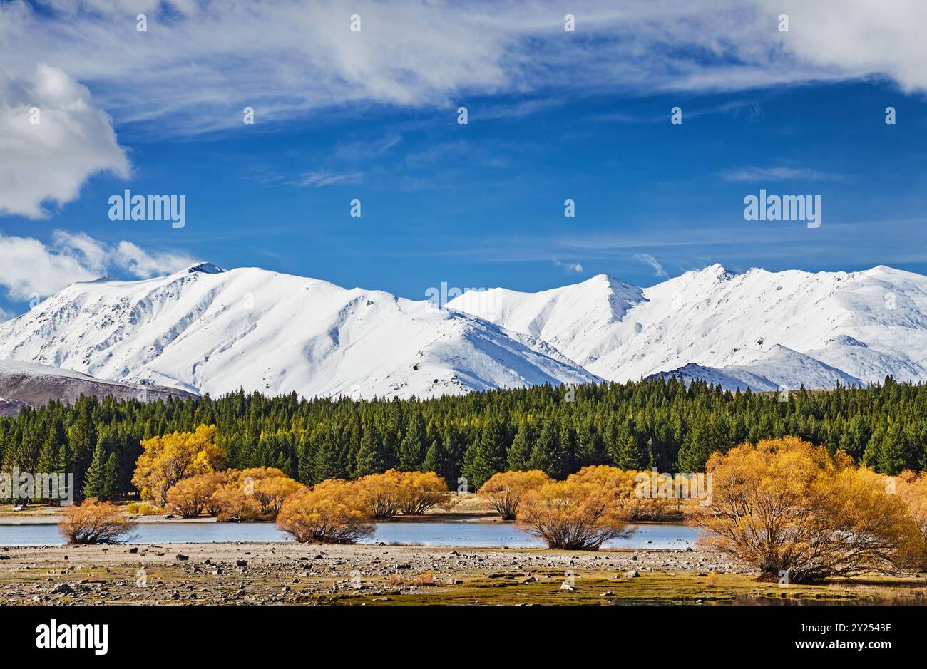 Herbstlandschaft mit schneebedeckten Bergen, Wald und blauem Himmel. Lake Tekapo in Neuseeland Stockfoto