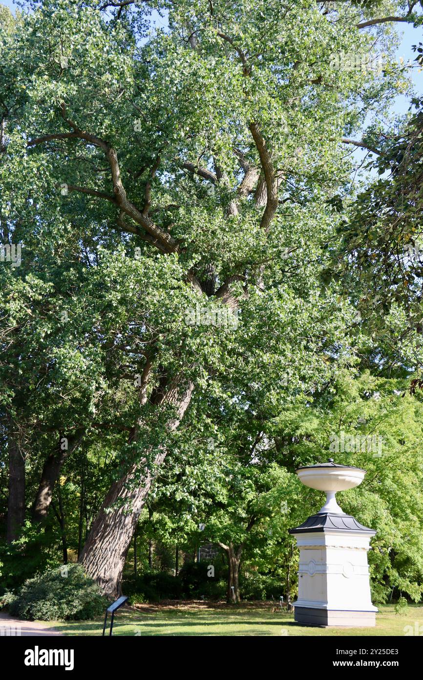 Der Brunnendeckel im Empire-Stil ist eine der ursprünglichen Strukturen des Botanischen Gartens in Helsinki, Finnland, August 2024 Stockfoto