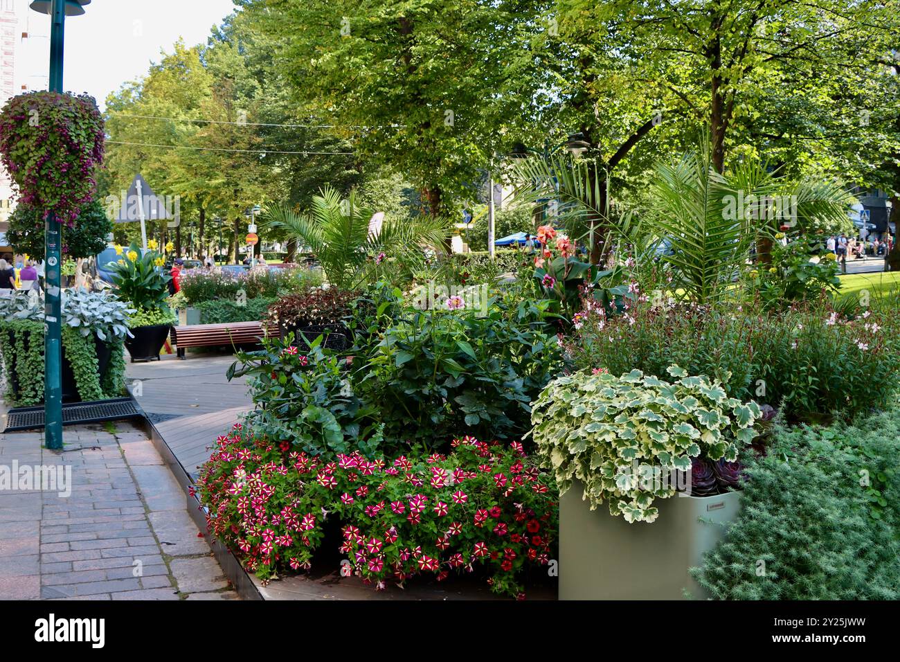 Große Pflanzgefäße mit Sommerblumen und Laub auf der Pohjois Esplanadi Straße im Zentrum von Helsinki, Finnland Stockfoto