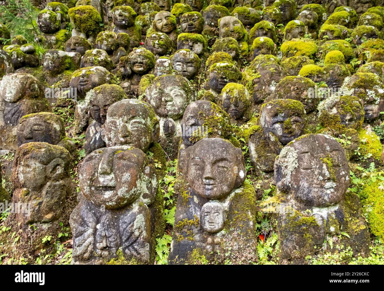 Moosbedeckte Steinstatuen von Rakanen - die Schüler Buddhas, Otagi Nenbutsu-JI Tempel, Kyoto, Japan Stockfoto