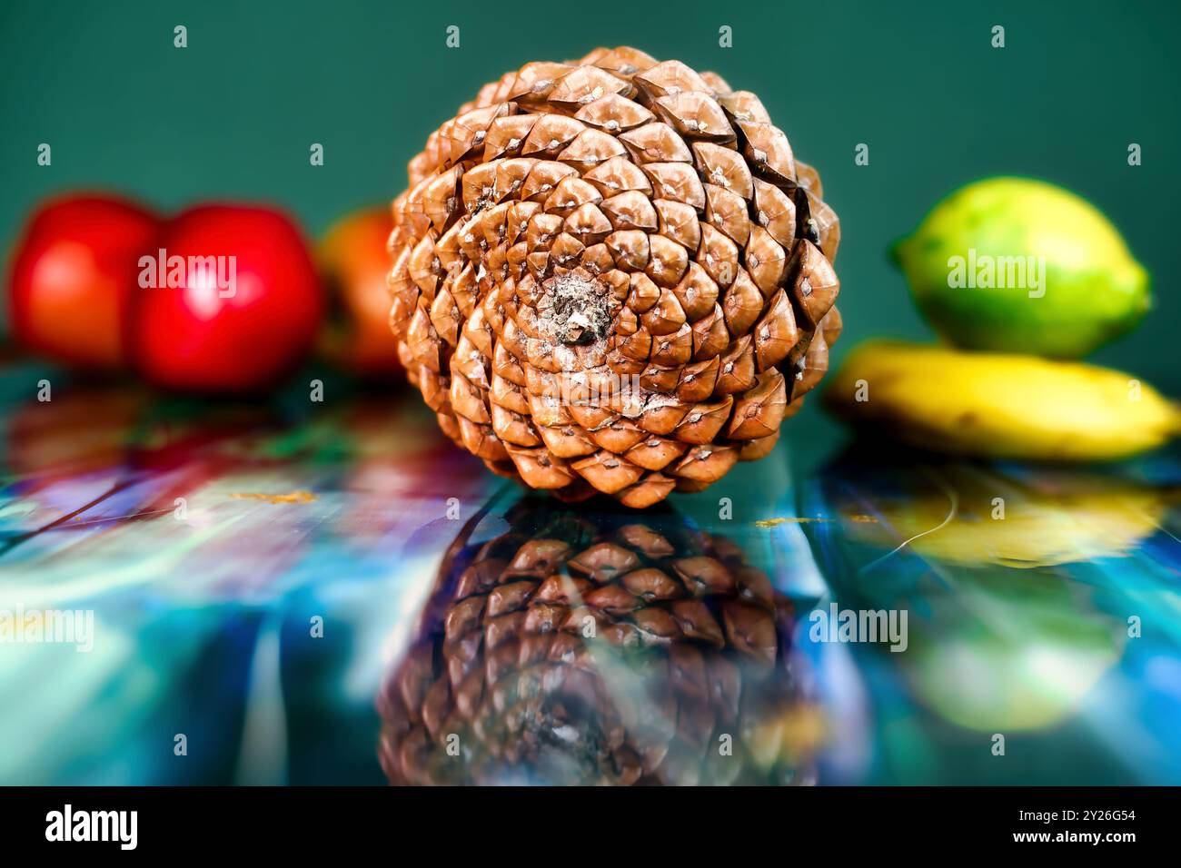 Rückansicht des Kiefernkegels zur Darstellung der Fibonacci-Sequenz in der Natur, mit echten Schatten und farbenfrohen Früchten Hintergrund. Stockfoto