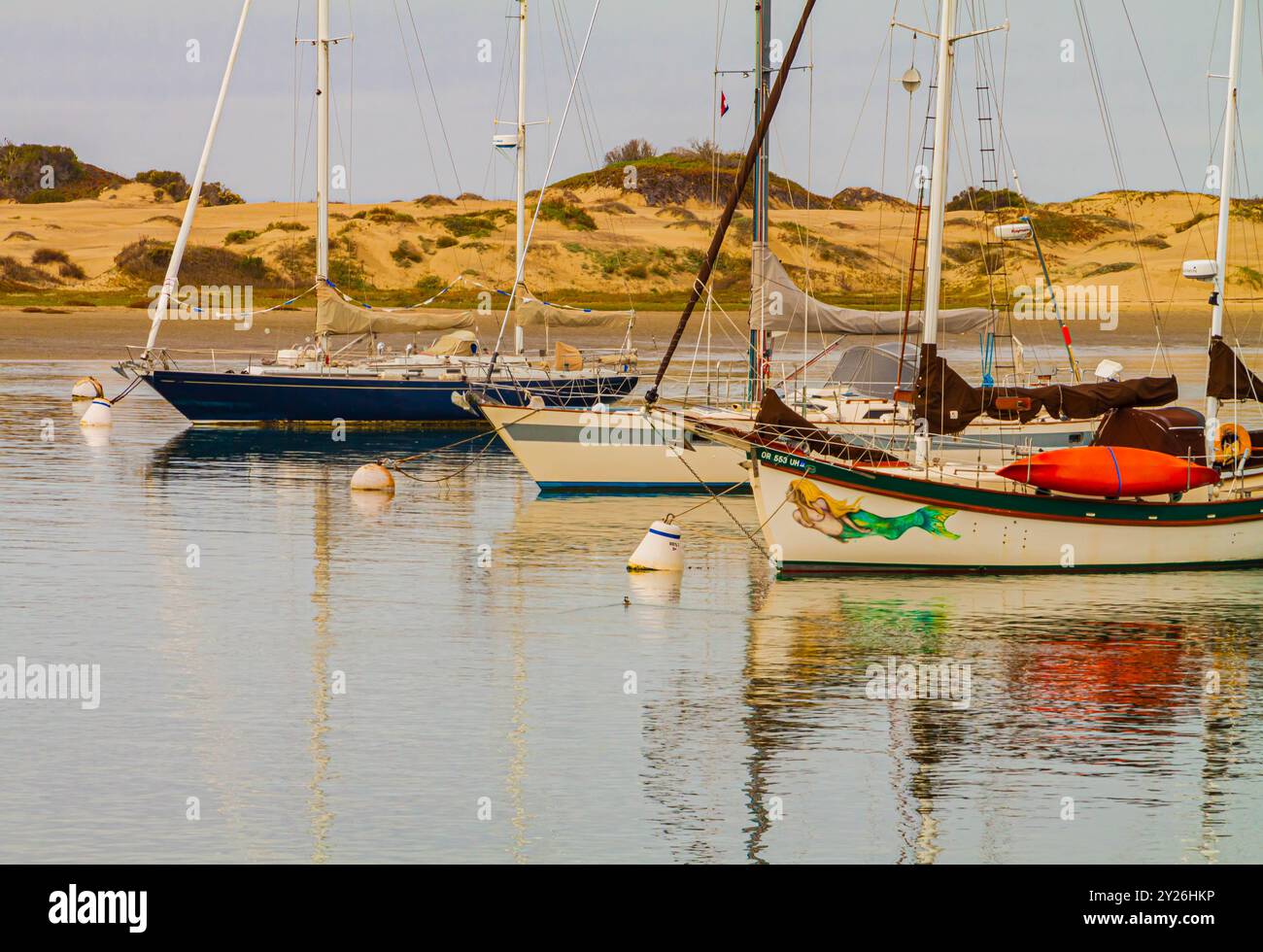 Segelboote liegen in der Nähe des Anchor Street Park in Morro Bay mit den Sanddünen des Morro Bay State Park in der Ferne, Morro Bay, Kalifornien, USA Stockfoto