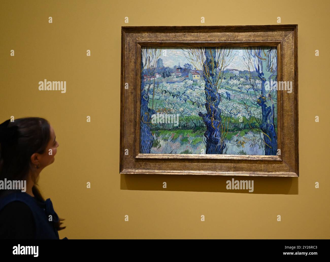 DIE PHILADELPHIA SONNENBLUMEN WURDEN URSPRÜNGLICH BEI VAN GOGHS FREUNDEN MR. UND MRS. GINOUX IN ARLES HINTERLASSEN UND VON GEKAUFT HERR CARROL TYSON AUS CHETNUT HILL PHILADELPHIA 1935, BEVOR ER 1963 VOM PHILADELPHIA MUSEUM OF ART ERWORBEN WURDE . DIE LONDONER SONNENBLUMEN WURDEN IM MAI 1889 AN VAN GOGHS BRUDER THEO GESCHICKT UND BLIEBEN BIS ZUM DIE NATIONAL GALLERY KAUFTE DAS BILD 1924. DIE BEIDEN BILDER WURDEN SEIT ANFANG 1889 IM STUDIO DES KÜNSTLERS NIE ZUSAMMEN AUSGESTELLT . DIE BEIDEN SONNENBLUMEN WERDEN NEBEN LA BERCEUSE (1888) SEIN SYMBOLISCHES PORTRÄT EINER FRAU MIT CRADE-SCHNUR GEZEIGT Stockfoto