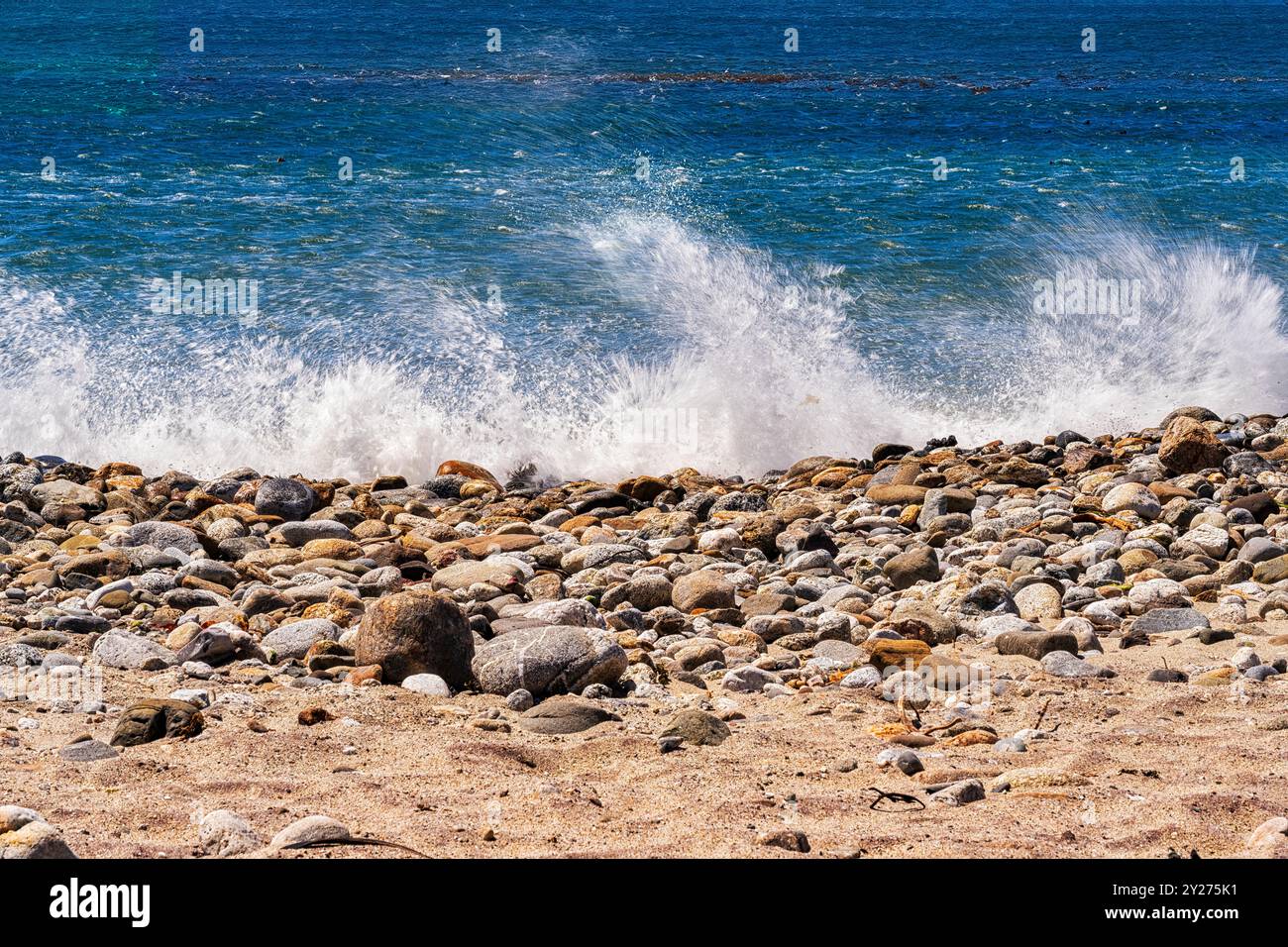 Eine große Welle trifft auf das felsige Ufer im Andrew Molera State Park Stockfoto