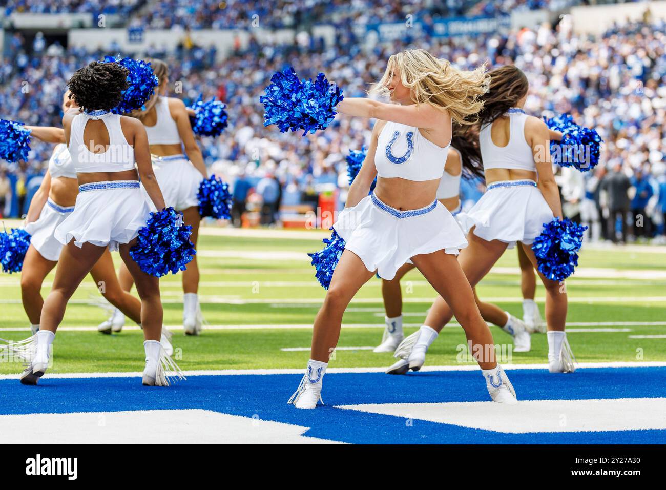 Indianapolis, Indiana, USA. September 2024. Die Cheerleader der Indianapolis Colts treten im Lucas Oil Stadium in Indianapolis, Indiana, im NFL-Spiel gegen die Houston Texans auf. John Mersits/CSM/Alamy Live News Stockfoto