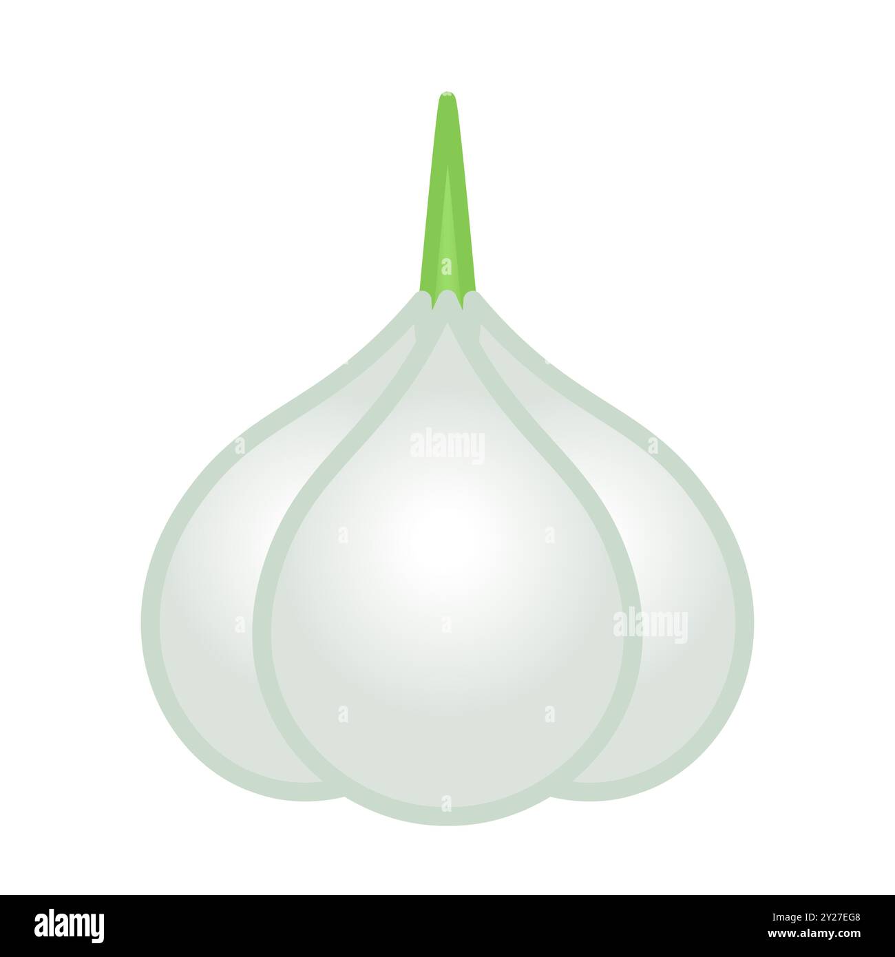 Illustration eines Knoblauchkopfes Stock Vektor