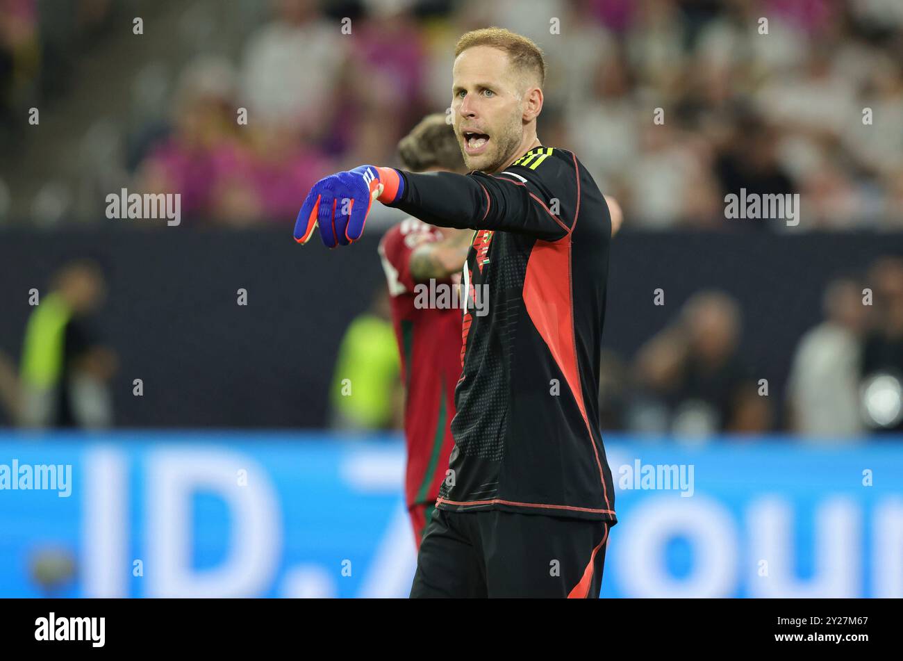 firo : 07.09.2024 , Fußball, Fußball, internationales Spiel DFB Nationalmannschaft Männer's Nations League Deutschland - Ungarn 5:0 Peter Gulacsi von Ungarn Gesten Gesten Stockfoto