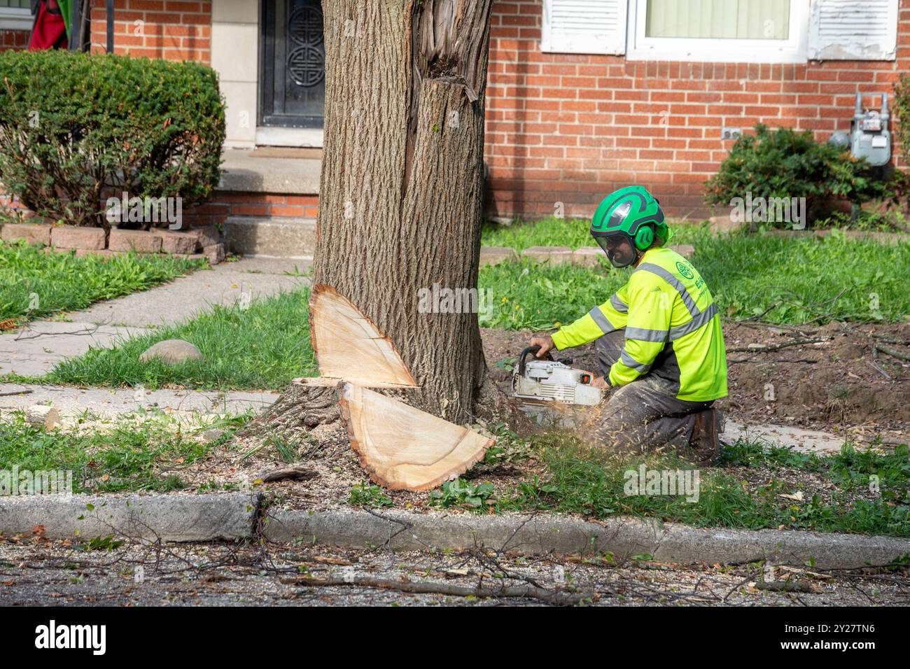 Detroit, Michigan – Ein Mitarbeiter eines Baumpfängers verwendet eine Motorsäge, um einen toten Baum zu Fällen. Stockfoto