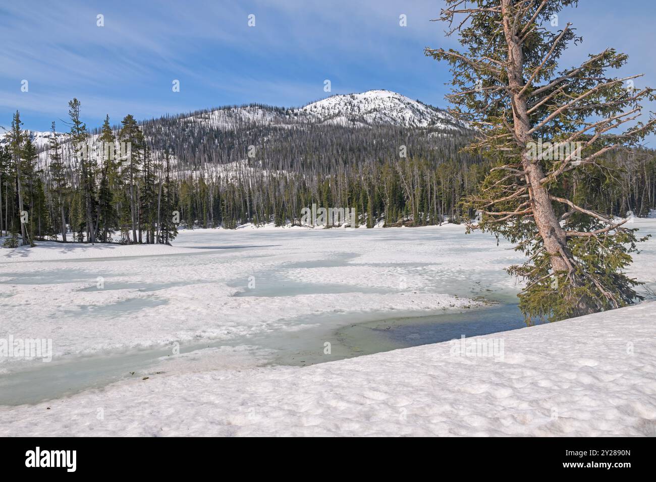 Sylvan Lake im späten Frühlingsschnee im Yellowstone-Nationalpark in Wyoming Stockfoto