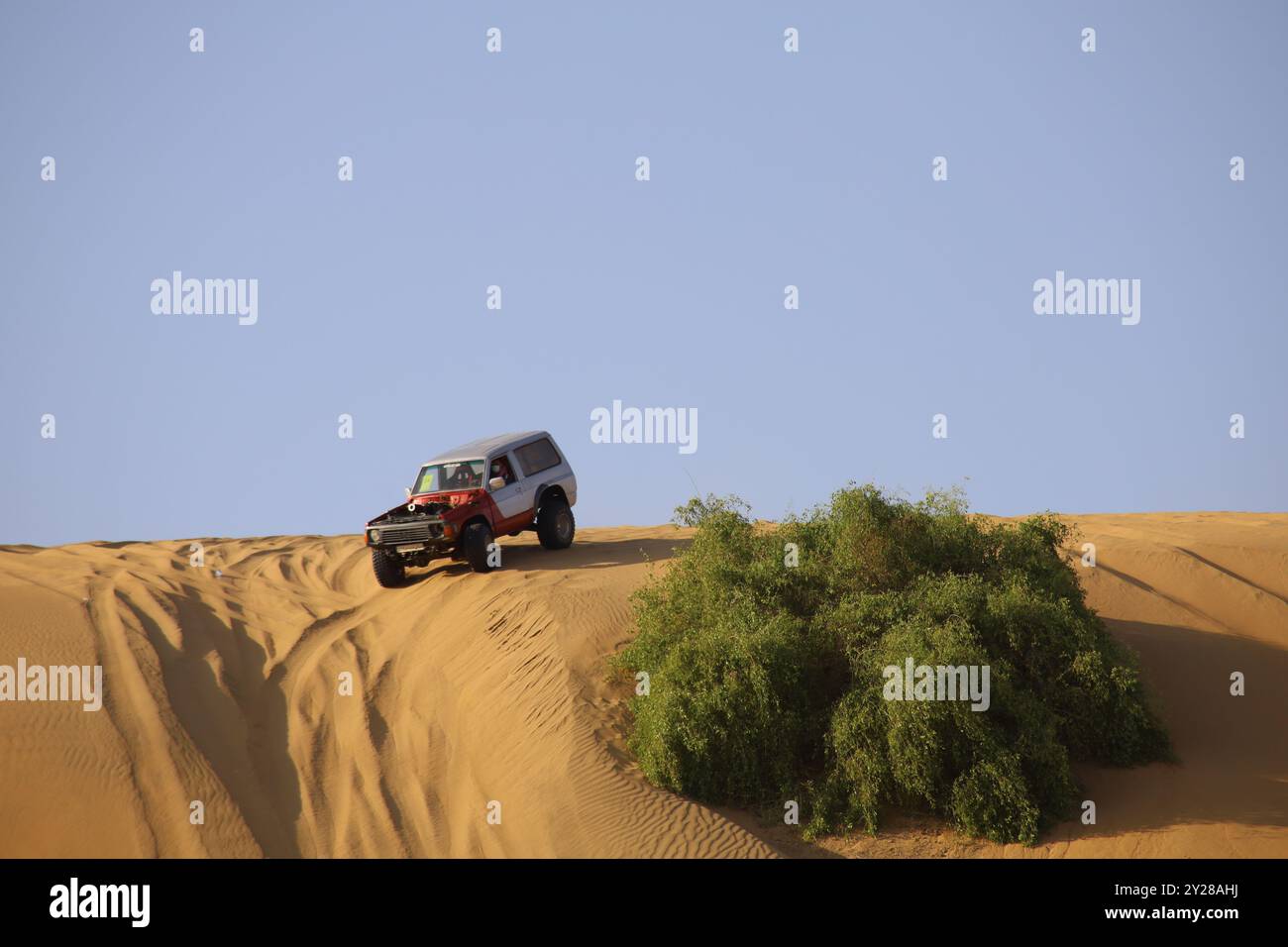 Nawan , Saudi-Arabien 7. Januar 2023: 4x4-Autos fahren durch Saudi-Arabiens markante Sandwüste. Die Fahrzeuge führen aufregende Manöver auf Sanddünen durch Stockfoto