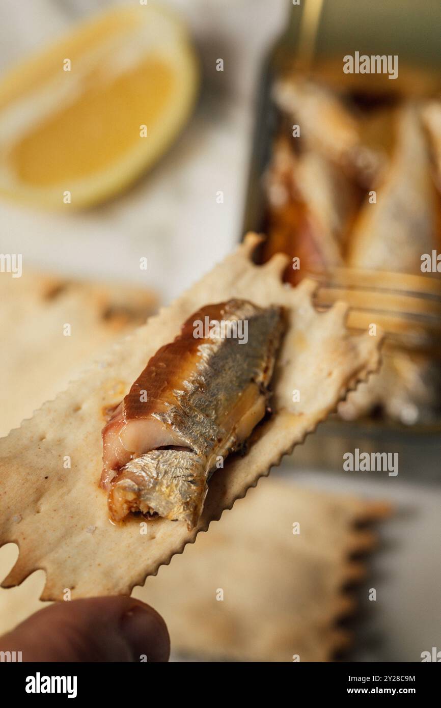 Sardinenfilet auf Cracker mit Sardinendose in Olivenöl verpackt Stockfoto